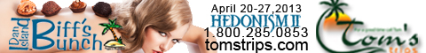 Banner488x60-17